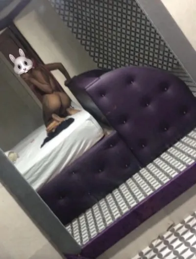 Dominicana discreta, foto 1